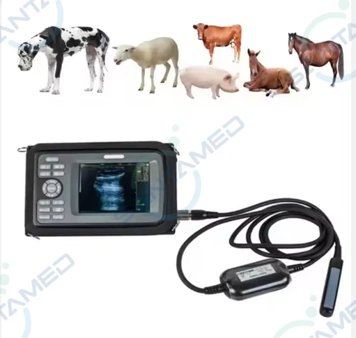 Handheld Veterinary Ultrasound